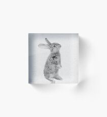 Rabbit 11 Acrylblock