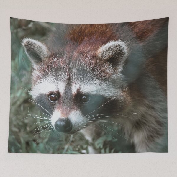 Item preview, Little cute raccoon designed and sold by SophieHueper.