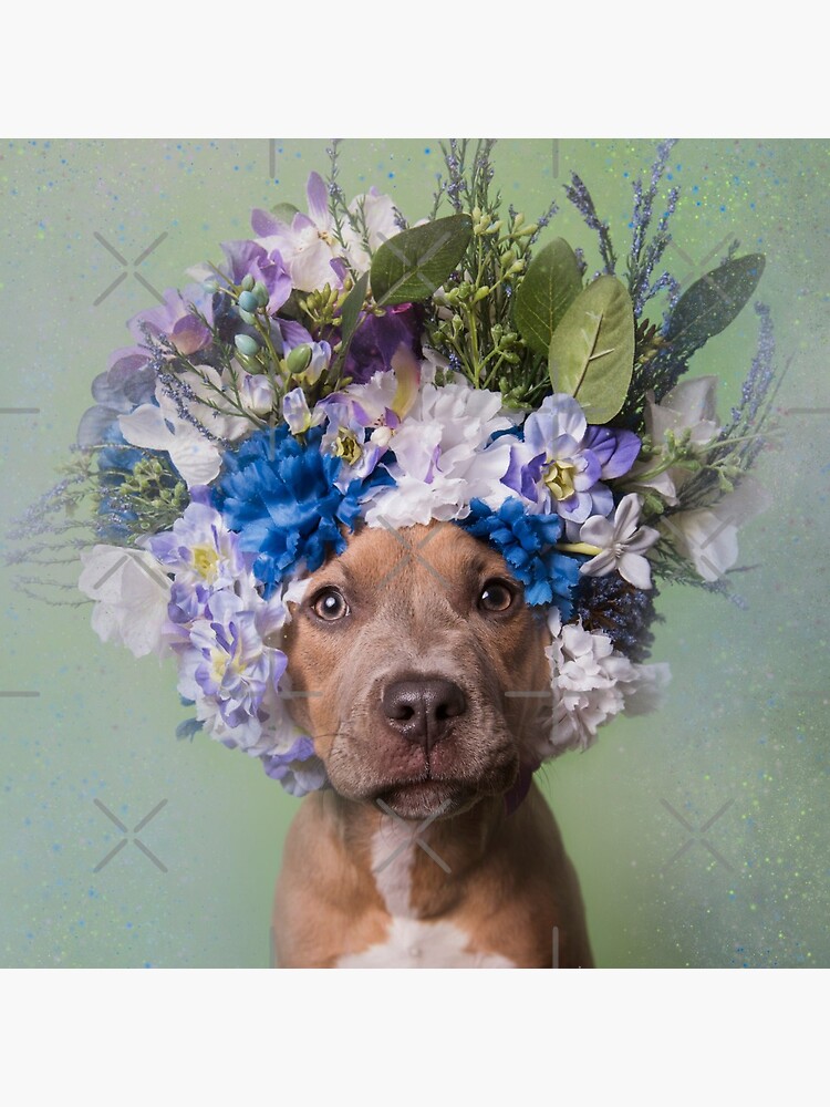 Flower Power, Kyla von SophieGamand