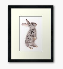 Rabbit 12 Gerahmtes Wandbild