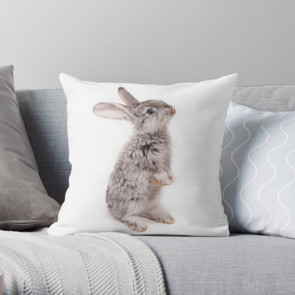 Rabbit 12 Dekokissen