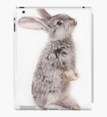 Rabbit 12 iPad-Hülle & Skin