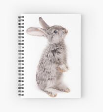 Rabbit 12 Spiralblock