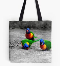 Rainbow Lorikeets Mum Dad & Junior Tote Bag