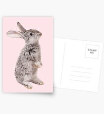 Rabbit 12 Postkarten