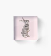 Rabbit 12 Acrylblock