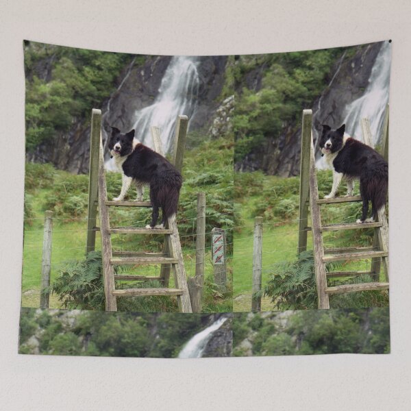 Artikelvorschau, Indy bei Aber Waterfalls entworfen und verkauft von Michael Haslam.