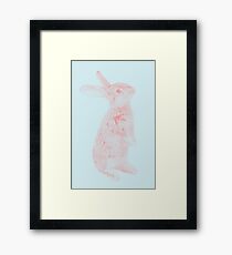 Rabbit 07 Gerahmtes Wandbild