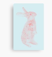 Rabbit 07 Leinwanddruck