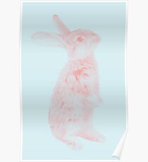 Rabbit 07 Poster