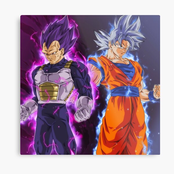 Goku ultra instinct and Vegeta ultra Ego Goku ultra instinct and Vegeta ultra Ego