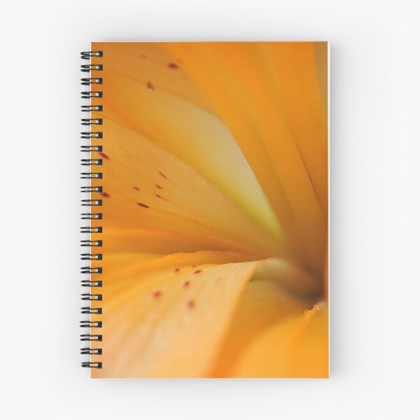 Item preview, Fine Tuned designed and sold by inlightimagery.
