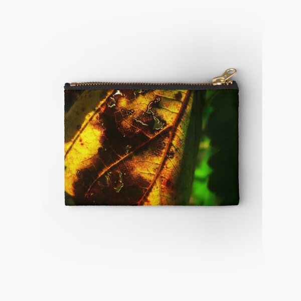 Item preview.