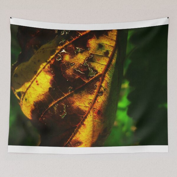 Item preview.