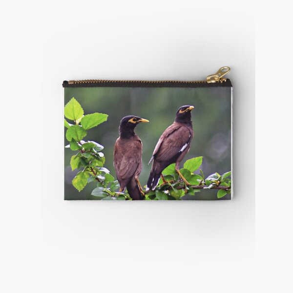 Item preview, Two Mynah/Mynas'/Wildlife designed and sold by VeenaNair23.