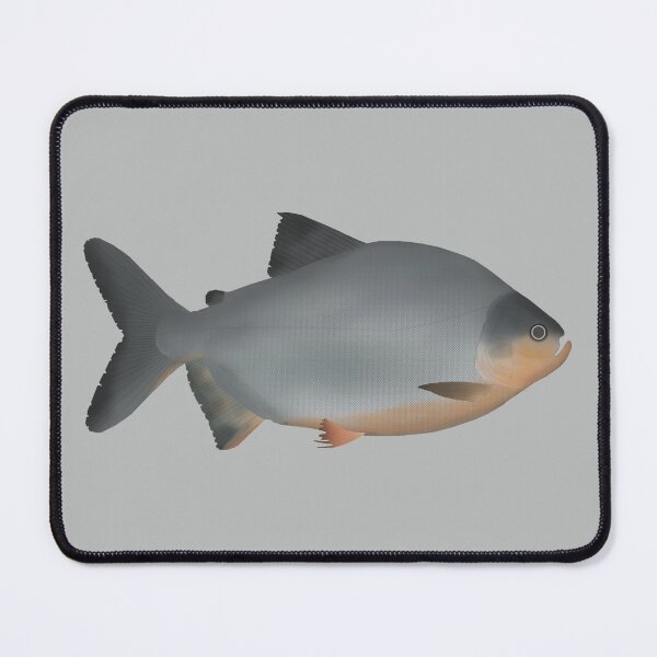 Item preview, Red-bellied Pacu designed and sold by fishfolkart.