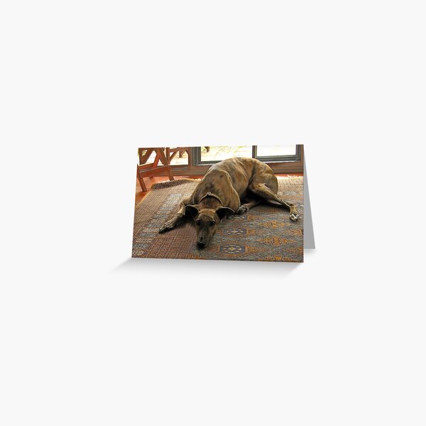 Looking Down The Barrel Greeting Card