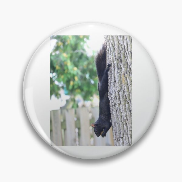 Item preview, Canadian Black Squirrel eating nut designed and sold by VeenaNair23.