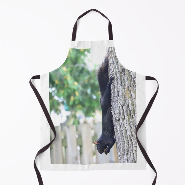 Item preview, Canadian Black Squirrel eating nut designed and sold by VeenaNair23.