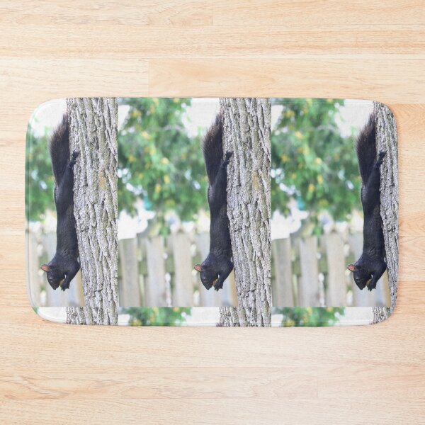 Item preview, Canadian Black Squirrel eating nut designed and sold by VeenaNair23.