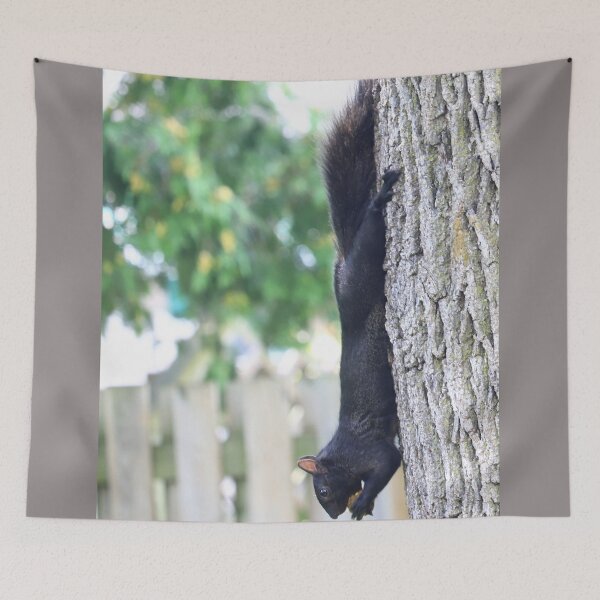 Item preview, Canadian Black Squirrel eating nut designed and sold by VeenaNair23.
