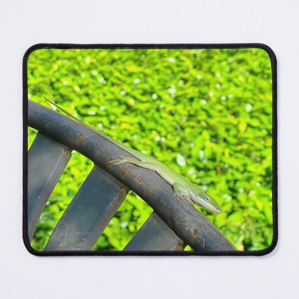 Item preview, Anatole Anole designed and sold by ThsModernWords.
