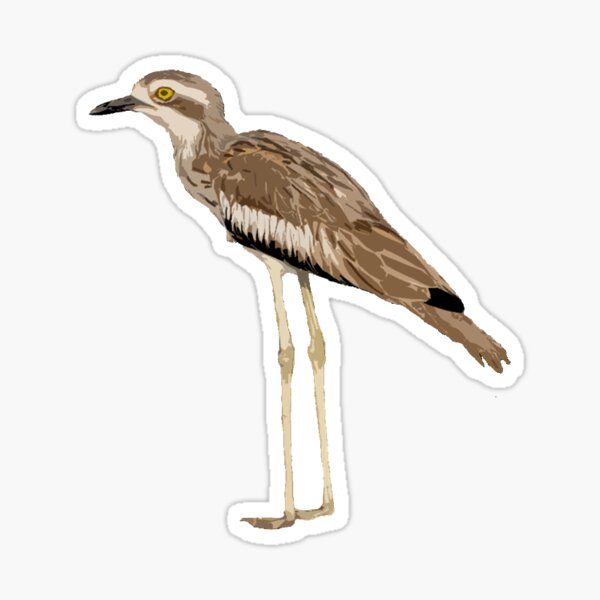 Item preview, Bush Thick-Knee (bush stone curlew, Burhinus grallarius) Artwork designed and sold by amronrae.