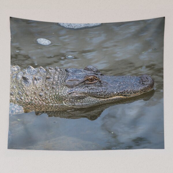 Item preview, South Padre Island Alligator designed and sold by Debra Martz.