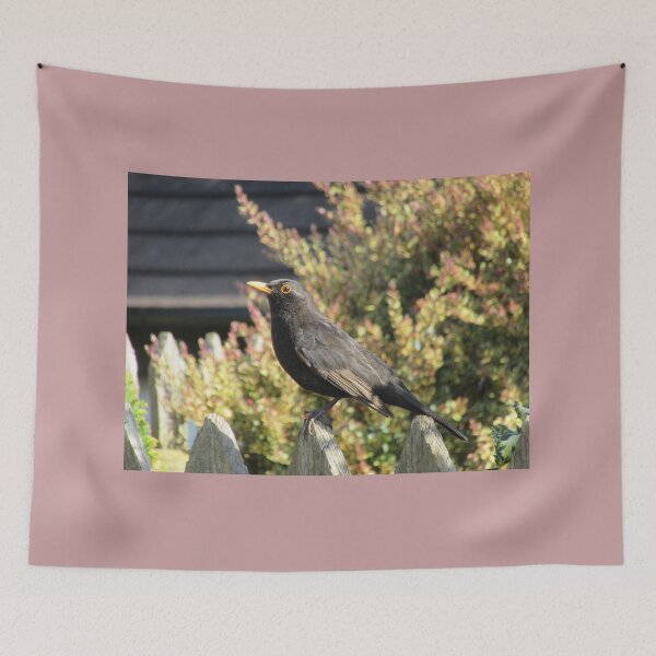 Item preview, Blackbird  (Turdus merula) designed and sold by lezvee.