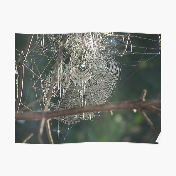 Web Poster