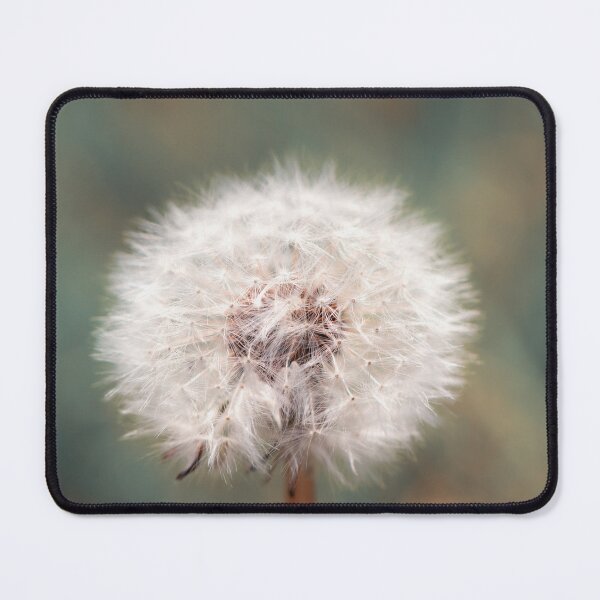 Item preview, Dandelion Seed Head designed and sold by Tanya C  Smith.