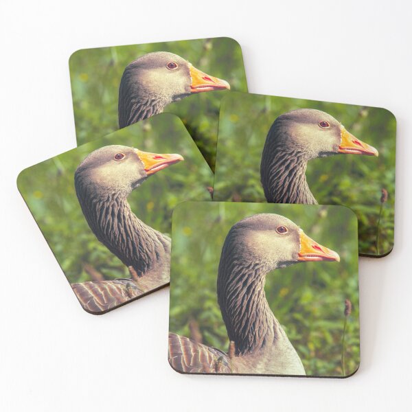 Item preview, Greylag Goose designed and sold by Dominika Aniola.