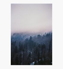 Home again Photographic Print