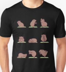 Funny Hippo Yoga - Yoga Lover Unisex T-Shirt