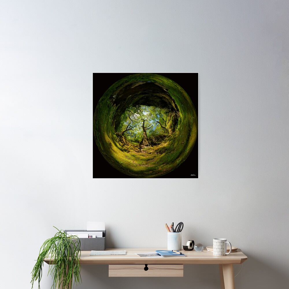 Ness Glen, Mystical Irish Wood Poster