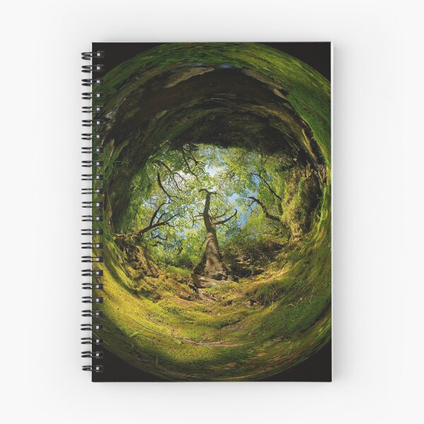Aperçu de l'œuvre Ness Glen, bois irlandais mystique créée et vendue par George Row.