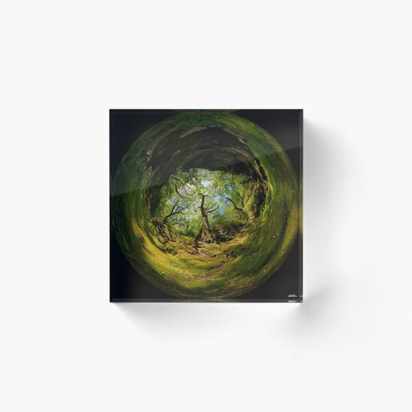 Ness Glen, Mystical Irish Wood Acrylic Block