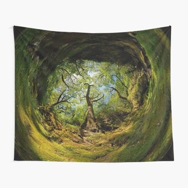 Ness Glen, Mystical Irish Wood Tapestry