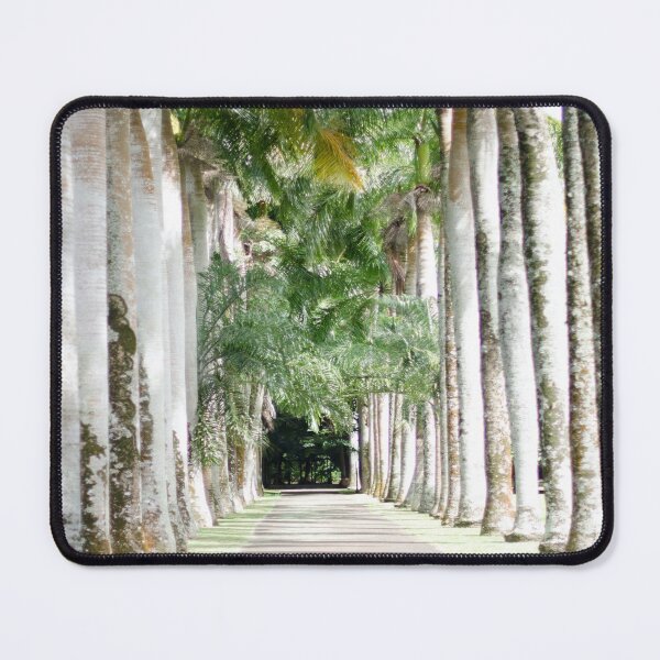 Item preview, Alley of Freedom designed and sold by Credere.