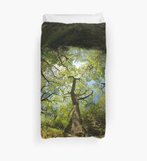 Ness Glen, Mystical Irish Wood Duvet Cover