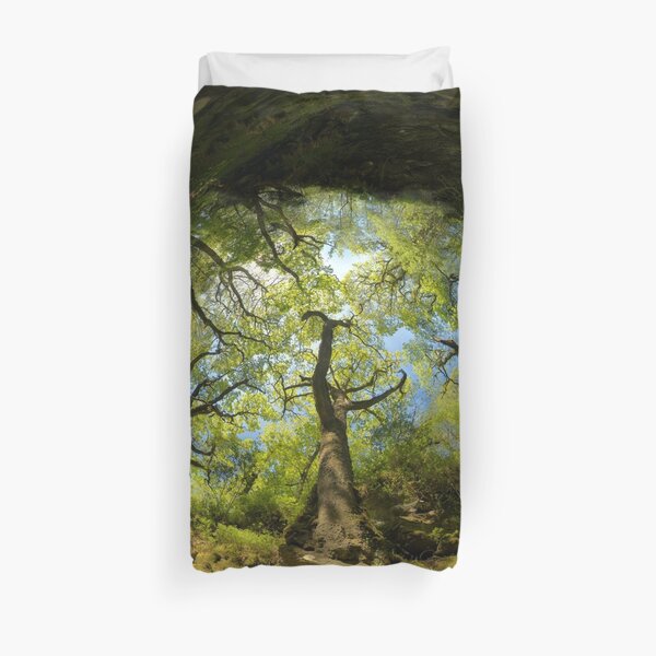 Ness Glen, Mystical Irish Wood Duvet Cover