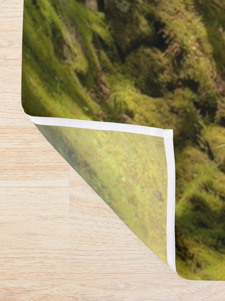 Alternate view of Ness Glen, Mystical Irish Wood Shower Curtain