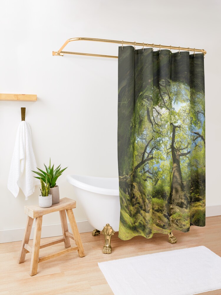 Alternate view of Ness Glen, Mystical Irish Wood Shower Curtain