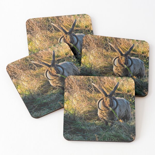 Item preview, Rare breed sheep in pasture designed and sold by Violaman.