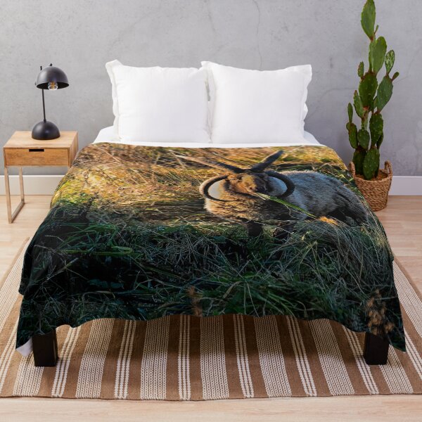 Item preview, Rare breed sheep in pasture designed and sold by Violaman.