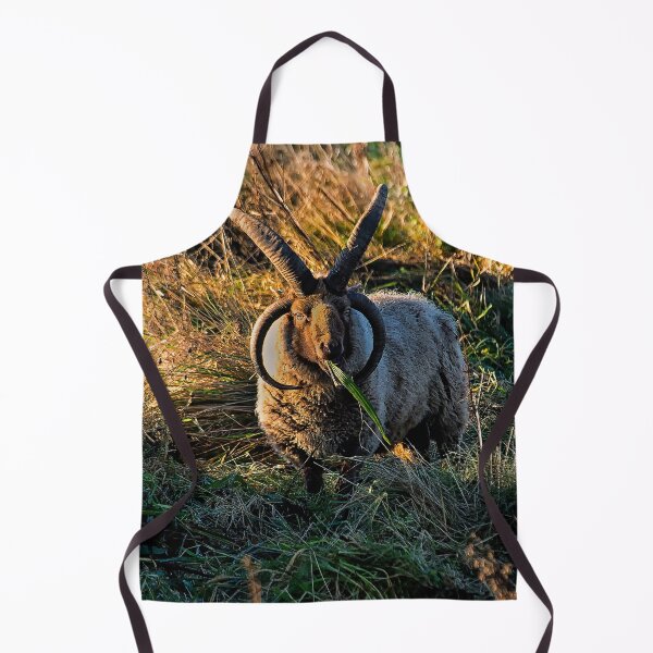 Item preview, Rare breed sheep in pasture designed and sold by Violaman.