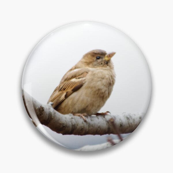 Item preview, Perching Sparrow designed and sold by couragesings.
