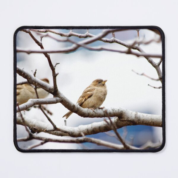 Item preview, Perching Sparrow designed and sold by couragesings.