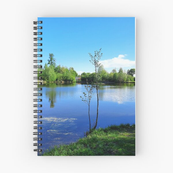 Item preview, Silent Lake in Bad Krozingen designed and sold by Dreammkd.