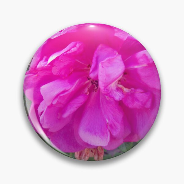 Item preview, Pink Rose in the rain designed and sold by Shulie1.